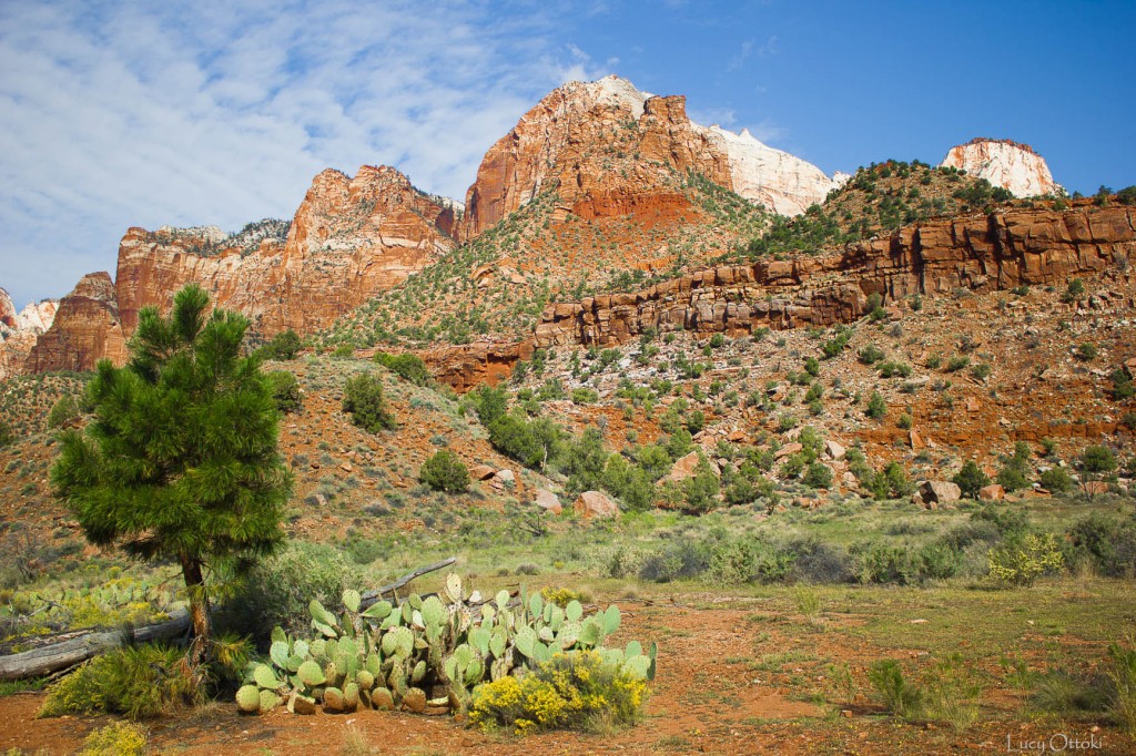 10h Parc Zion