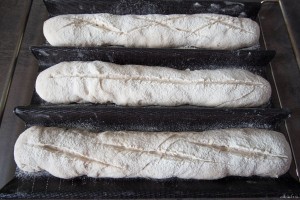 Baguettes bio avant cuisson